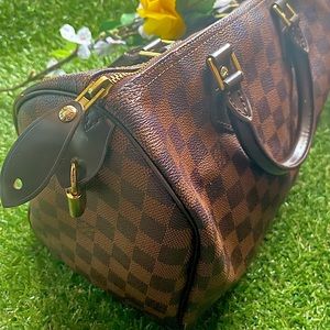 Louis Vuitton Speedy Handbag Damier 30